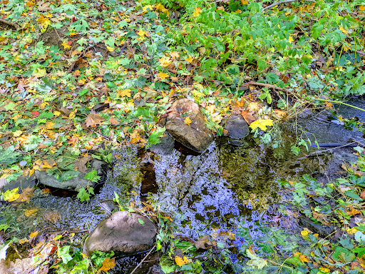 Nature Preserve «Steer Swamp Conservation Area», reviews and photos, 188 Washington St, Marblehead, MA 01945, USA