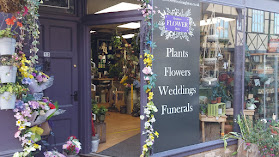 Knighton Flower Box Ltd