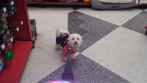 Pet Supply Store «Petco Animal Supplies», reviews and photos, 955 Ferry Blvd, Stratford, CT 06614, USA