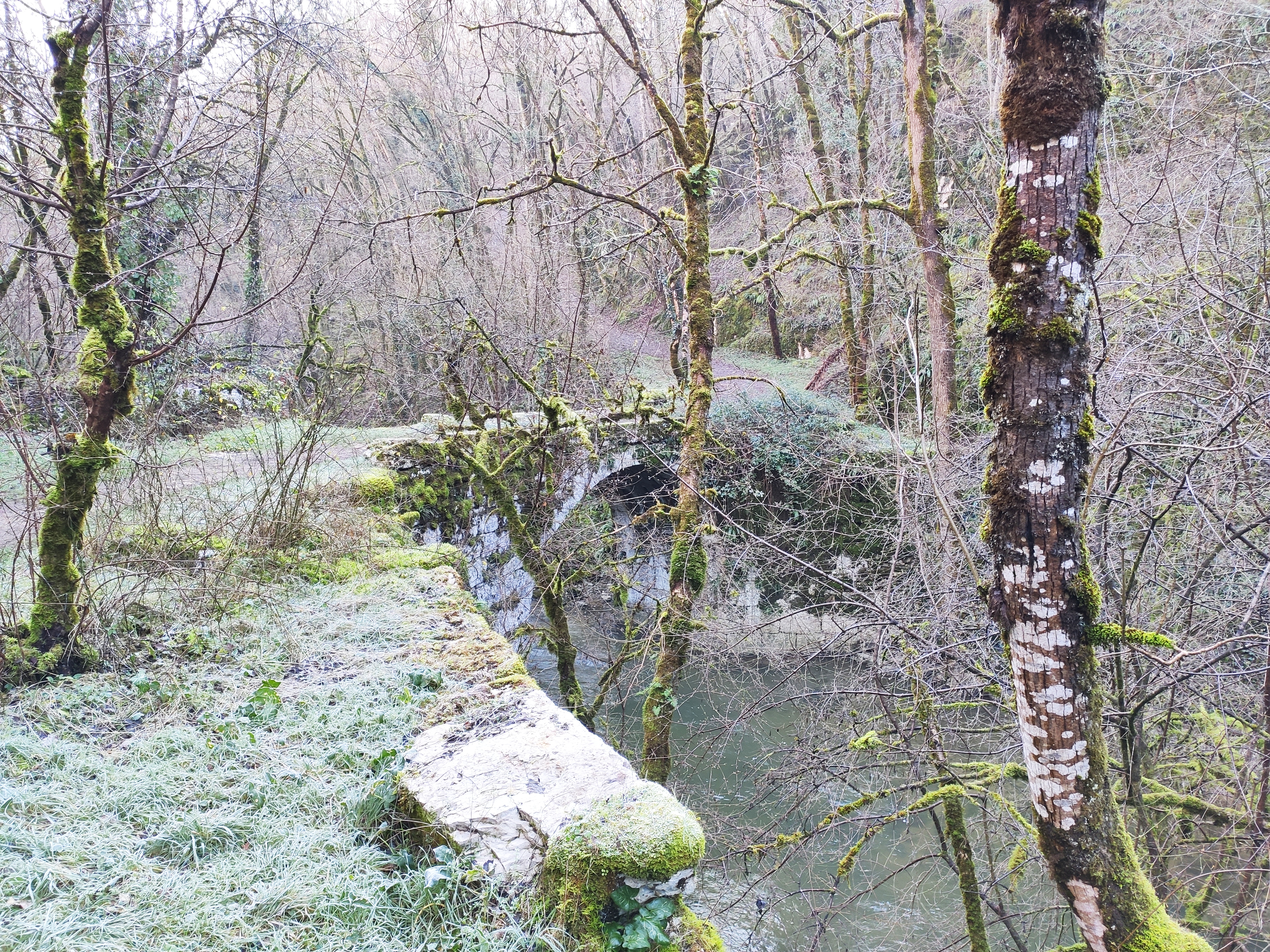 Photo n° 10 de l'avis de Gérard.A fait le 30/12/2019 à 13:40