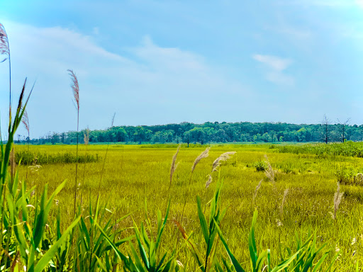 Community Park «Cattus Island County Park», reviews and photos, 1170 Cattus Island Blvd, Toms River, NJ 08753, USA