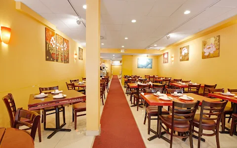 Bodhi Kosher Vegetarian Restaurant image