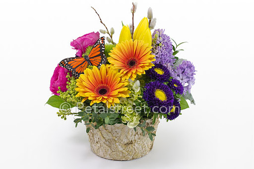 Florist «Petal Street Flower Company», reviews and photos, 2319 Bridge Ave, Point Pleasant, NJ 08742, USA