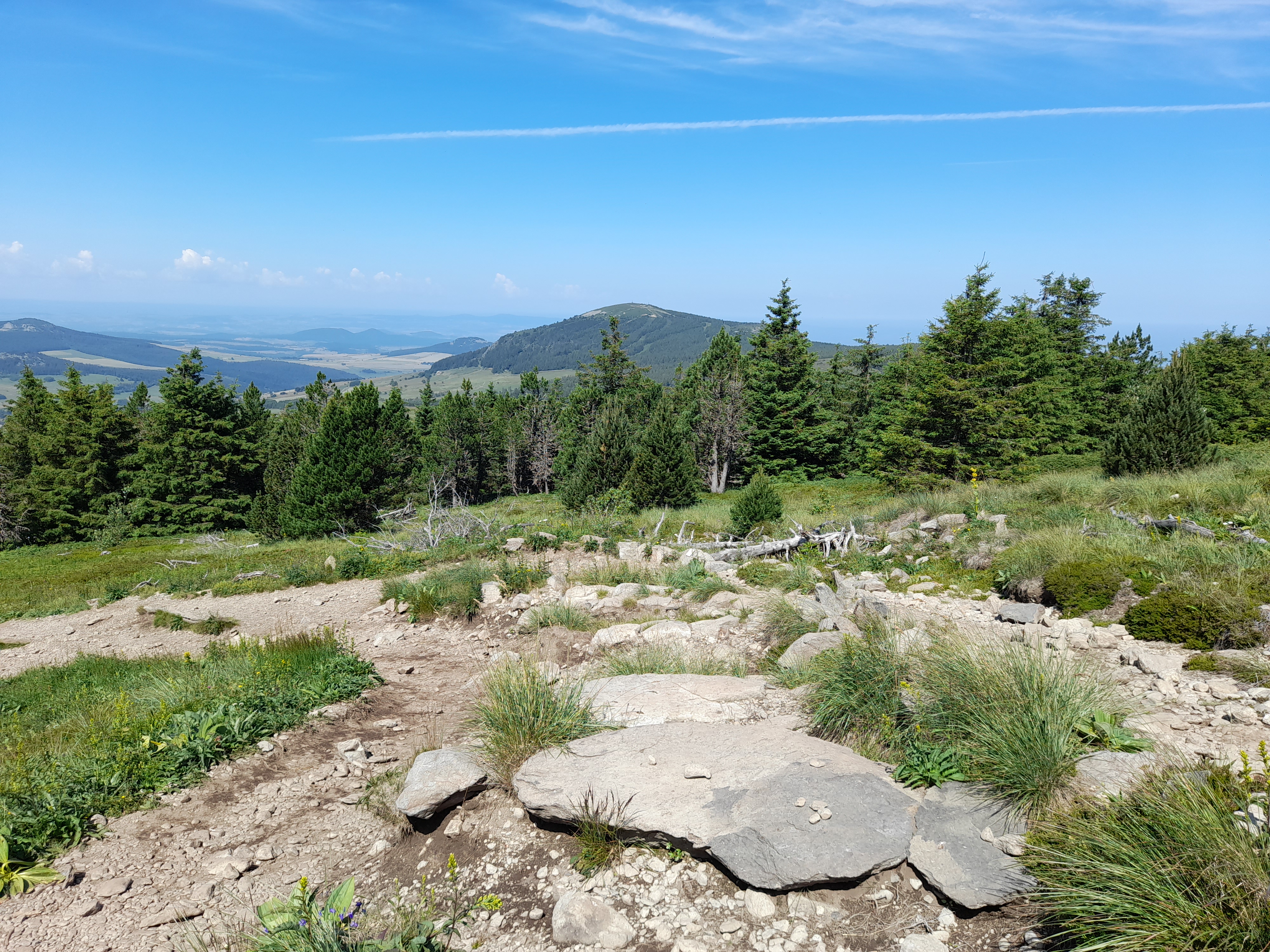 Photo n° 2 de l'avis de Sylvie.h fait le 21/07/2021 à 15:28