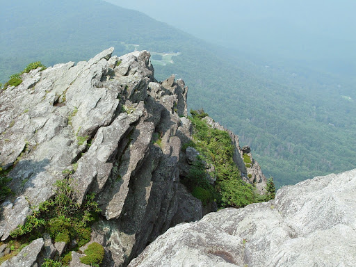 National Forest «Pisgah National Forest», reviews and photos, 1600 Pisgah Highway, Nebo, NC 28761, USA