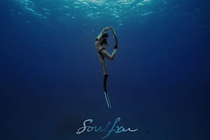 SoulFree 自由潛水/ 瑜珈 Freediving/ Yoga (Taiwan) image