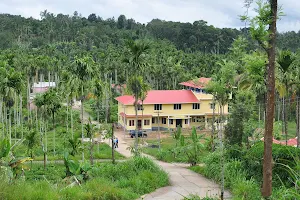Palm Resort image