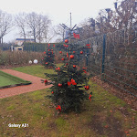 Photo n°7 de l'avis de Silvia.i fait le 03/12/2023 à 11:18 sur le  Hotel Mutter Bahr - Ihr Hotel im Töddenland à Ibbenbüren