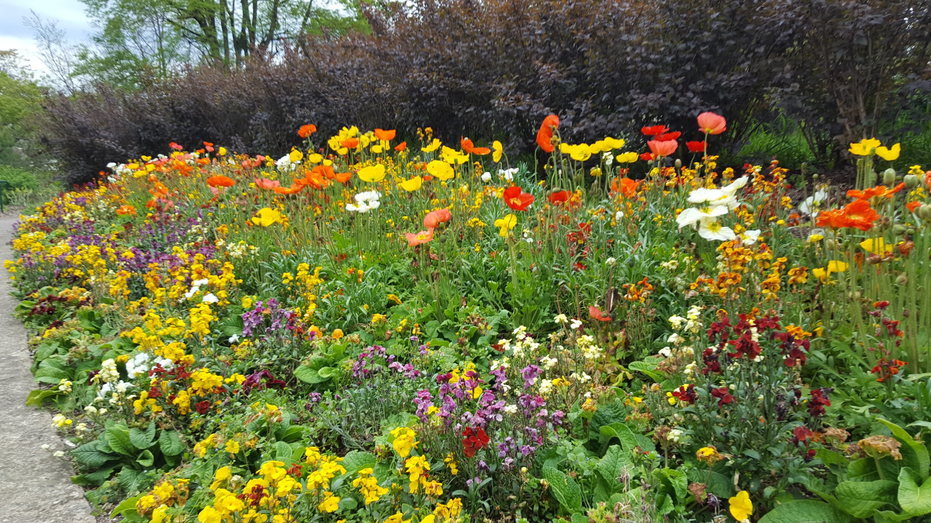 Photo n° 1 de l'avis de Sandrine.e fait le 22/05/2019 à 07:42
