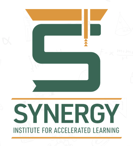 Synergy Institute for Accelerated Learning