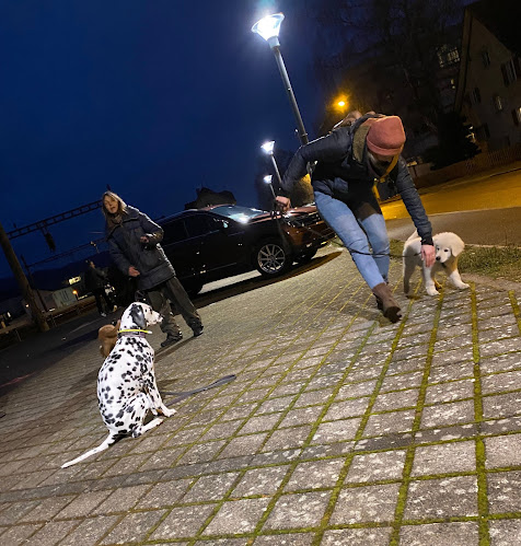 Rezensionen über Hundeschule Glückspfote in Baar - Hundeschule