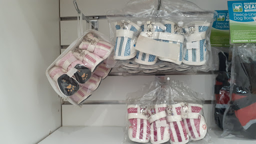 Pet Store «South Beach Pet Shop», reviews and photos, 634 6th St, Miami Beach, FL 33139, USA