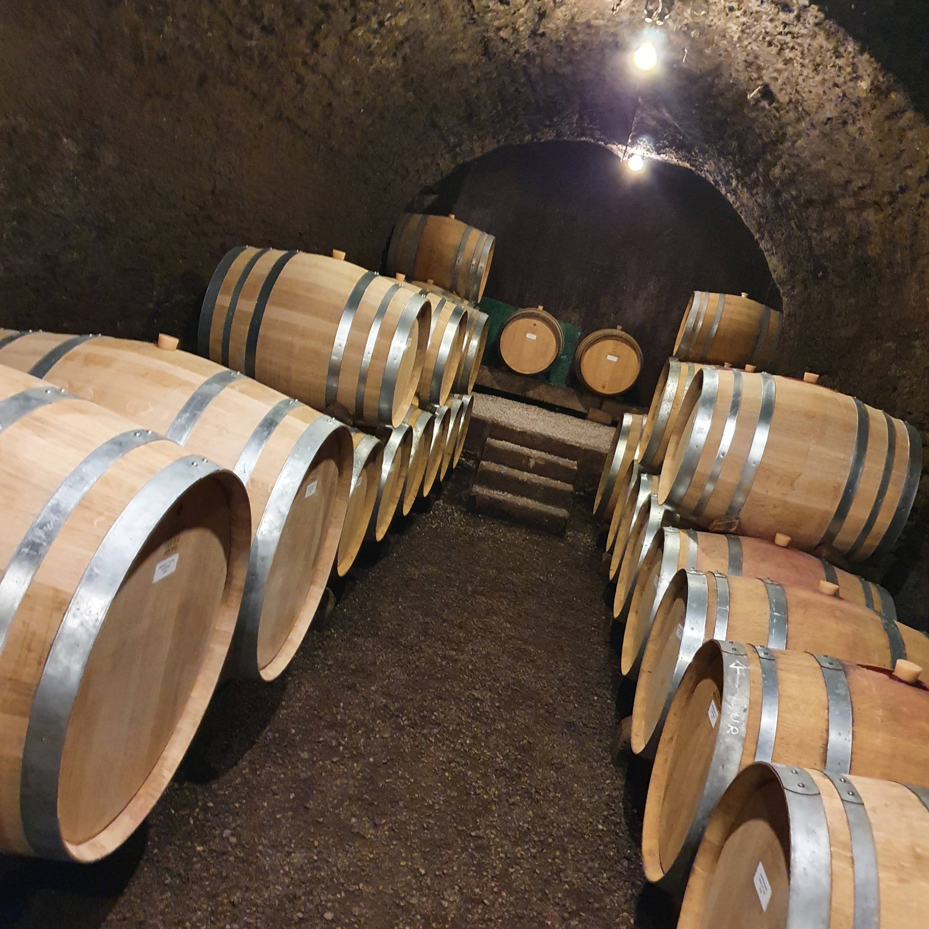 Photo n° 1 de l'avis de Emilie. fait le 23/10/2022 à 11:46