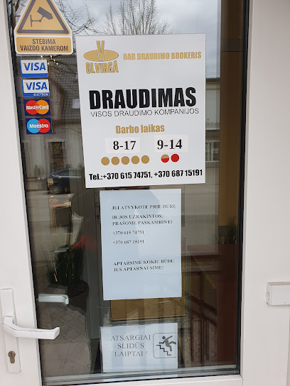 Draudimas Tauragėje - Olvirga