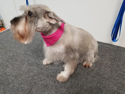 Pet Groomer «U Dirty Dog», reviews and photos, 232 Stevens Entry, Peachtree City, GA 30269, USA