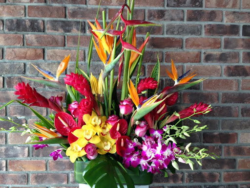 Florist «La Fleur Florals and Events», reviews and photos, 2047 Wilton Dr, Wilton Manors, FL 33305, USA