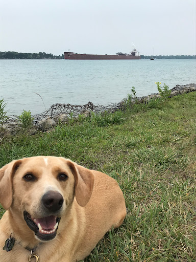 Park «Algonac State Park», reviews and photos, 8732 N River Rd, Marine City, MI 48039, USA