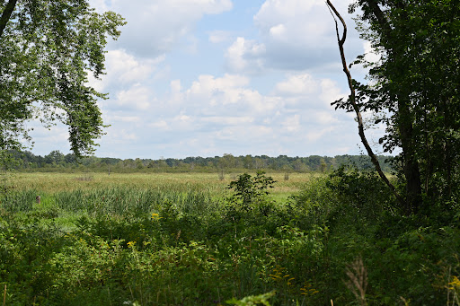 Bird Watching Area «Haehnle Sanctuary», reviews and photos, Seymour Rd, Pleasant Lake, MI 49272, USA
