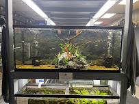 Natural Environment Aquatix - Photo 5 - Car repair in Jacksonville, FL, Jacksonville