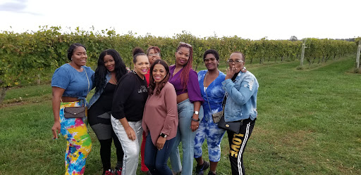 Vineyard «Crow Farm», reviews and photos, 12441 Vansant Corner Rd, Kennedyville, MD 21645, USA