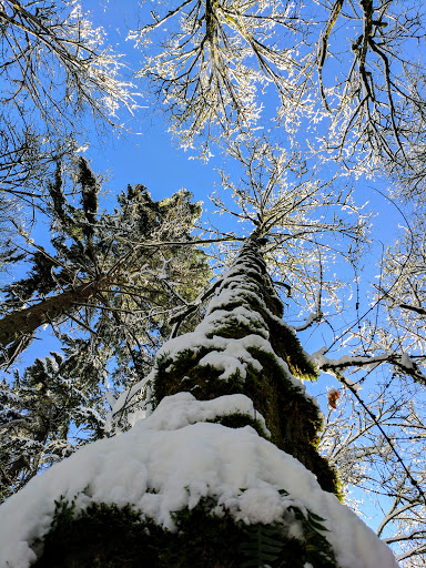 Park «Powell Butte Nature Park», reviews and photos, 16160 SE Powell Blvd, Portland, OR 97236, USA
