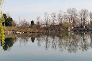 Swan Lake image