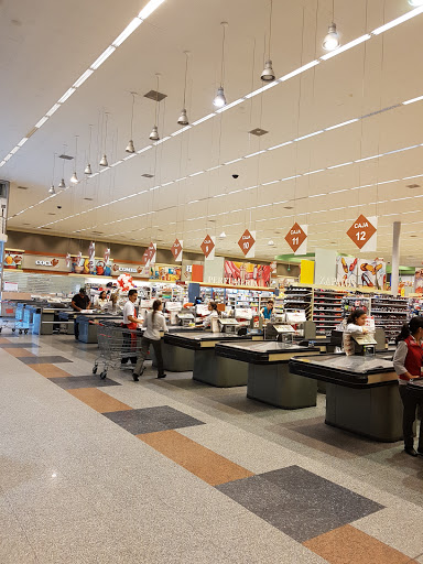 Tiendas para comprar olivos Guayaquil