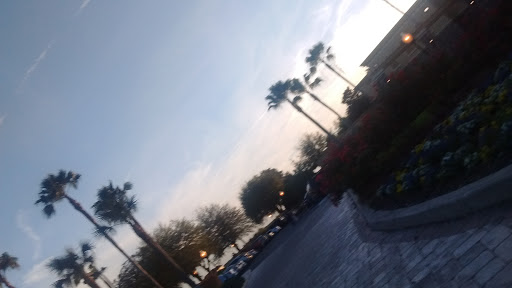 Golf Course «Skyview Golf Course», reviews and photos, 2100 N Terra Vista Blvd, Hernando, FL 34442, USA