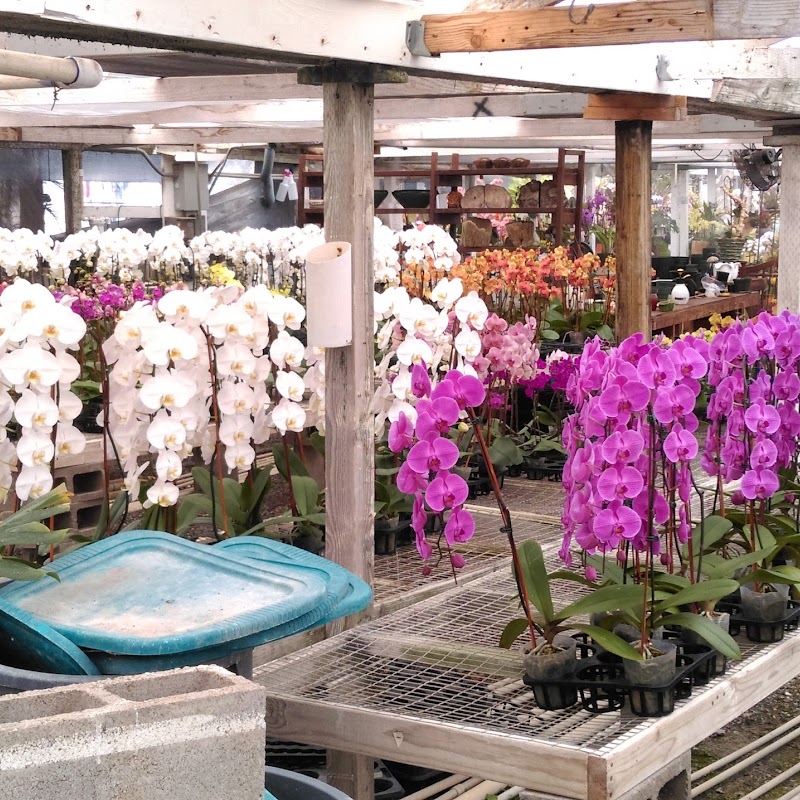Cal Pacific Orchid Farm