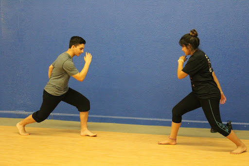 Martial Arts Wellness Group