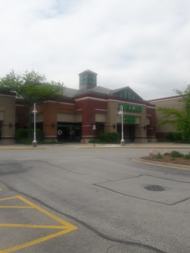 Dollar Store «Dollar Tree», reviews and photos, 1243 E Higgins Rd, Schaumburg, IL 60173, USA
