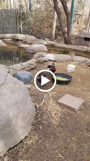Zoo «Monkey Island», reviews and photos, 8 E 23rd Ave, Denver, CO 80205, USA