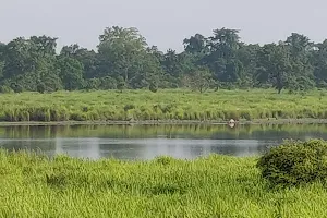 Kaziranga Elephant Safari Point 1 image