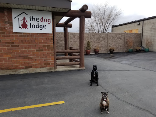 The Dog Lodge