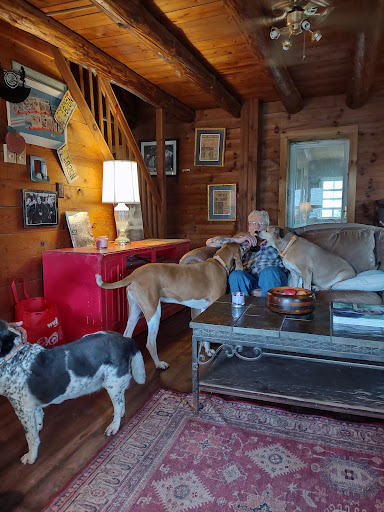 Consignment Shop «Refabulous Furnishings», reviews and photos, 2231 Vestal Pkwy W, Vestal, NY 13850, USA