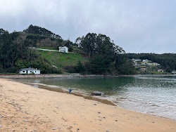 Photo de Playa del Puntal protégé par des falaises