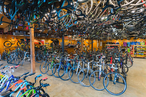 Bicycle Store «Montlake Bicycle Shop», reviews and photos, 2223 24th Ave E, Seattle, WA 98112, USA