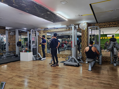 THE LION GYM - 78 ANAND BAZAR, MAIN ROAD, Old Palasia, Indore, Madhya Pradesh 452018, India