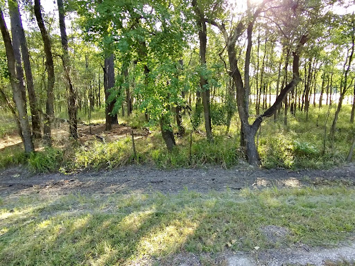Boy Scout Field Trail