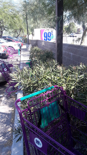 Discount Store «99 Cents Only Stores», reviews and photos, 2009 N Stapley Dr, Mesa, AZ 85203, USA