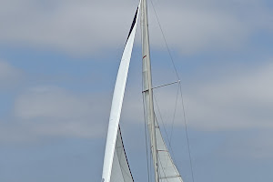 Marina Sailing