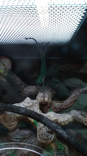 Pet Supply Store «Petco Animal Supplies», reviews and photos, 86 Storrs Rd, Mansfield Center, CT 06250, USA