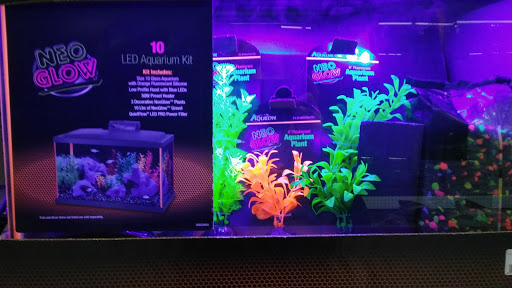 Pet Supply Store «Blackwinds Pet Supplies», reviews and photos, 2494 Military Rd, Niagara Falls, NY 14304, USA