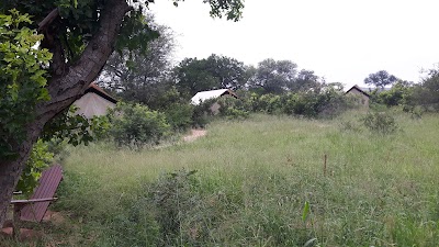Photos of Manyeleti Game Reserve