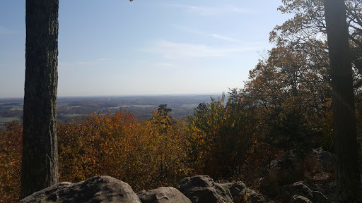 Winery «Sugarloaf Mountain Vineyard», reviews and photos, 18125 Comus Rd, Dickerson, MD 20842, USA