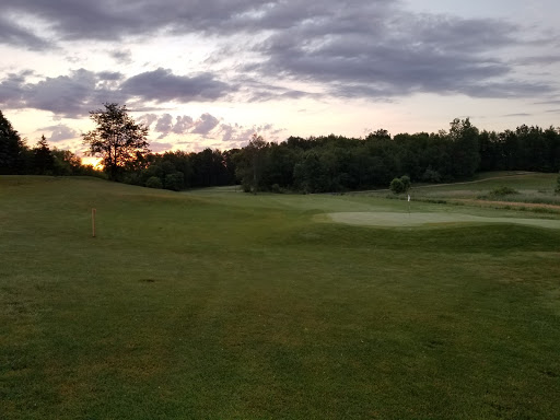 Golf Course «Pine Hills Golf Course», reviews and photos, 6603 Woodbury Rd, Laingsburg, MI 48848, USA