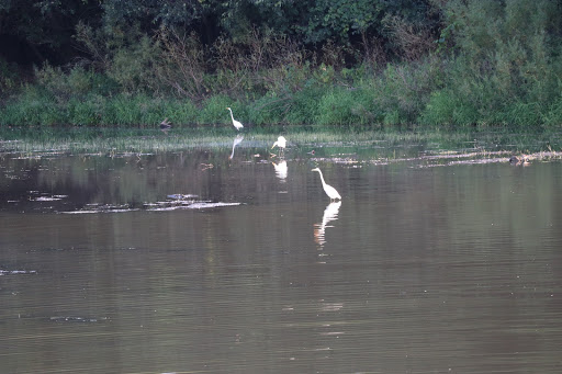 Nature Preserve «Buffalo Creek Forest Preserve», reviews and photos, 18163 W Checker Rd, Long Grove, IL 60047, USA