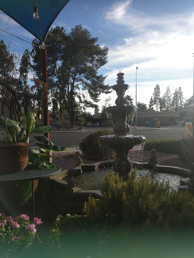 Asian Fusion Restaurant «Pho King Kitchen and Food Truck», reviews and photos, 8018 E Thomas Rd, Scottsdale, AZ 85251, USA