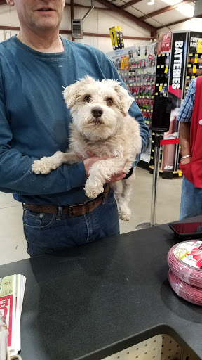 Hardware Store «Gold Country Ace Hardware», reviews and photos, 4121 Cameron Park Dr, Cameron Park, CA 95682, USA