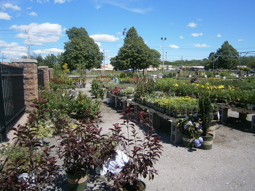 Pet Supply Store «CountryMax - Brockport», reviews and photos, 4875 Lake Rd N, Brockport, NY 14420, USA